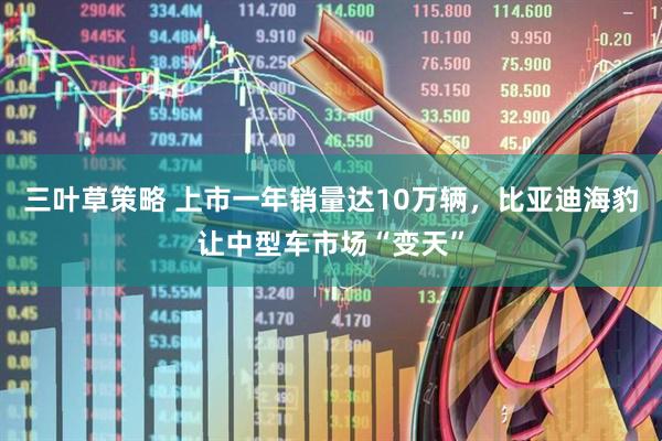 三叶草策略 上市一年销量达10万辆,比亚迪海豹让中型车市场“变天”