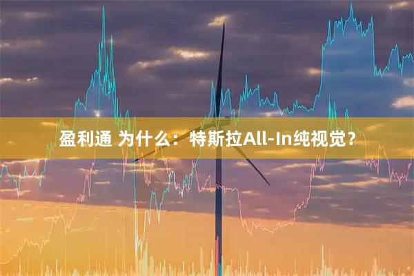 盈利通 为什么：特斯拉All-In纯视觉？