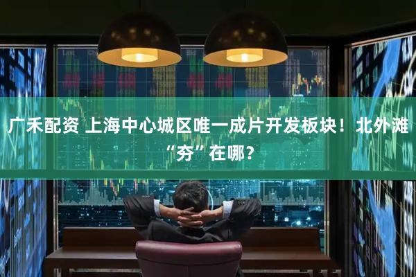 广禾配资 上海中心城区唯一成片开发板块!北外滩“夯”在哪?