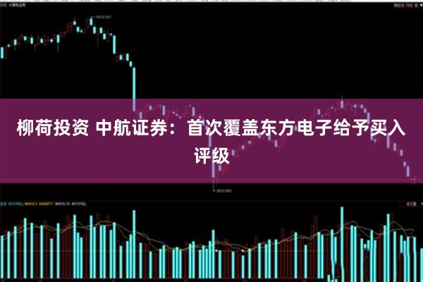 柳荷投资 中航证券:首次覆盖东方电子给予买入评级