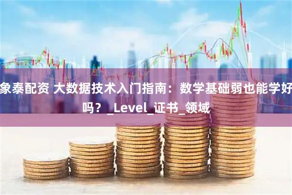 象泰配资 大数据技术入门指南：数学基础弱也能学好吗？_Level_证书_领域